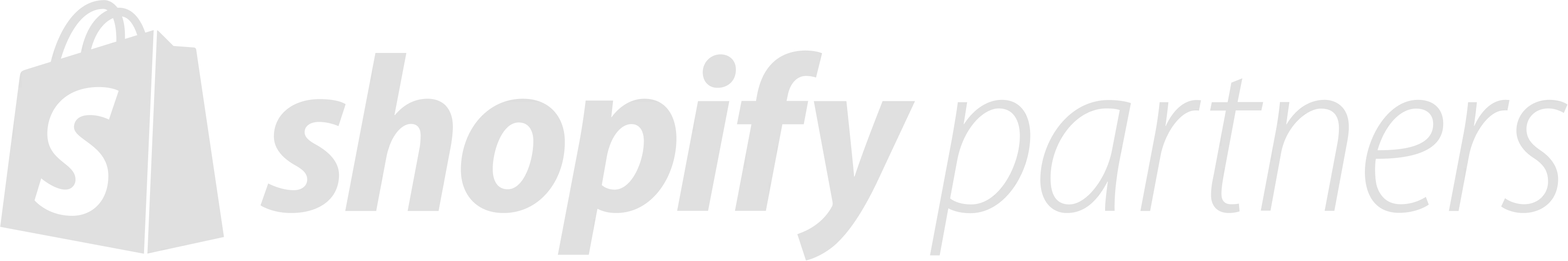 Shopify Plus Partner